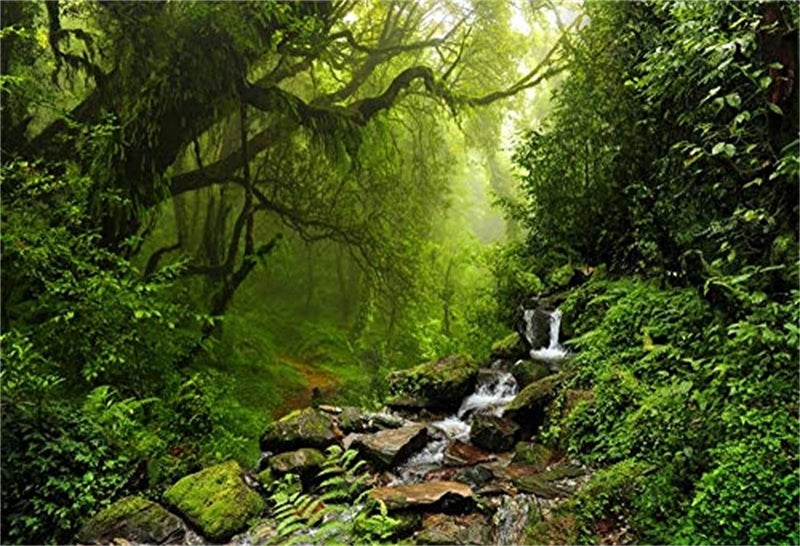 LFEEY 10x8ft Graceful Natural Scenery Backdrop Evergreen Forest Jungle Rock Flowing Mountain Stream Rainforest Photography Background Birthday Party Events Photo Studio Props - Image 1